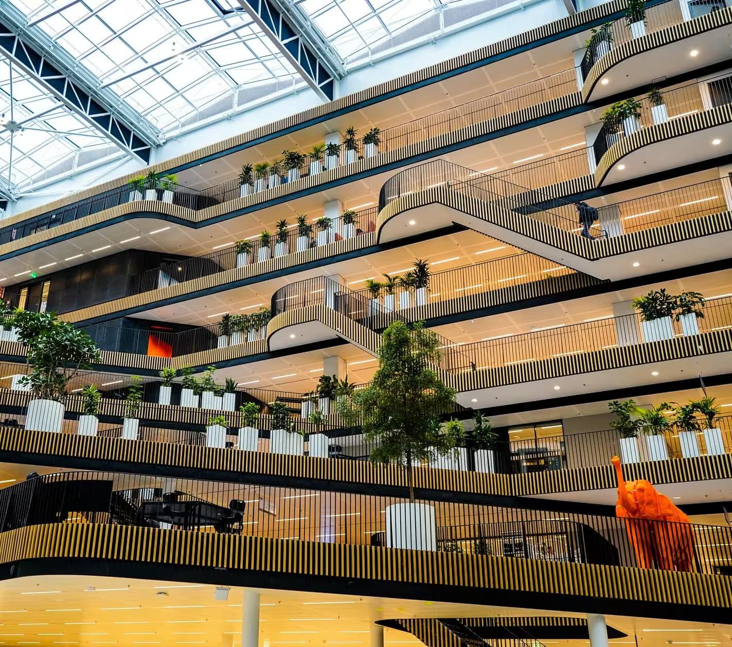 Hogeschool van Amsterdam